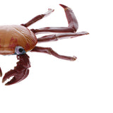 Plastic Realistic Wildlife Jungle Forest Animals Crab Action Figure Toys Playset, Kids Toddler Nature Toys Home Decor Collectibles - Aladdin Shoppers