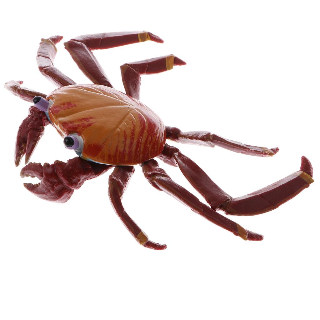 Plastic Realistic Wildlife Jungle Forest Animals Crab Action Figure Toys Playset, Kids Toddler Nature Toys Home Decor Collectibles - Aladdin Shoppers