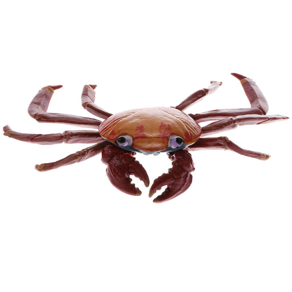 Plastic Realistic Wildlife Jungle Forest Animals Crab Action Figure Toys Playset, Kids Toddler Nature Toys Home Decor Collectibles - Aladdin Shoppers