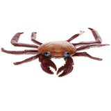 Plastic Realistic Wildlife Jungle Forest Animals Crab Action Figure Toys Playset, Kids Toddler Nature Toys Home Decor Collectibles - Aladdin Shoppers