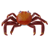 Plastic Realistic Wildlife Jungle Forest Animals Crab Action Figure Toys Playset, Kids Toddler Nature Toys Home Decor Collectibles - Aladdin Shoppers
