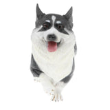 Plastic Realistic Wildlife Jungle Forest Ocean Animals Corgis Dog Action Figure Toys Pet Playset, Eduactional Toys For Kids Toddler Collectibles #B - Aladdin Shoppers