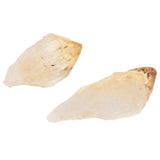 Rock & Mineral Collection Geology Science Kit Earth Science Toy - Citrine - Aladdin Shoppers