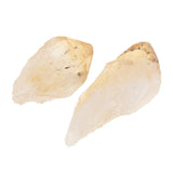 Rock & Mineral Collection Geology Science Kit Earth Science Toy - Citrine - Aladdin Shoppers