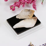 Rock & Mineral Collection Geology Science Kit Earth Science Toy - Citrine - Aladdin Shoppers