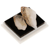 Rock & Mineral Collection Geology Science Kit Earth Science Toy - Citrine - Aladdin Shoppers