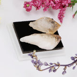 Rock & Mineral Collection Geology Science Kit Earth Science Toy - Citrine - Aladdin Shoppers