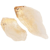 Rock & Mineral Collection Geology Science Kit Earth Science Toy - Citrine - Aladdin Shoppers