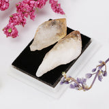 Rock & Mineral Collection Geology Science Kit Earth Science Toy - Citrine - Aladdin Shoppers