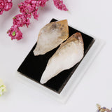Rock & Mineral Collection Geology Science Kit Earth Science Toy - Citrine - Aladdin Shoppers