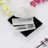 Rock & Mineral Collection Geology Science Kit Earth Science Toy Clear Quartz - Aladdin Shoppers